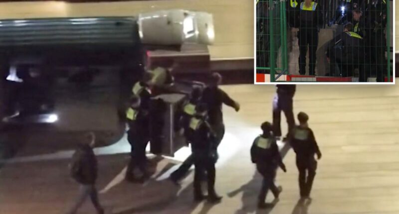 Wolf bites woman in a shopping area in Germanyâs 2nd-biggest city